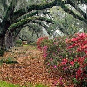 Meet your Posher, Lu